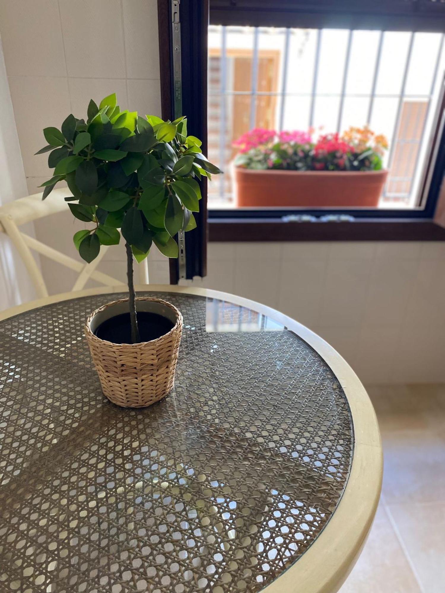 El Endrinal Apartment Grazalema Ngoại thất bức ảnh